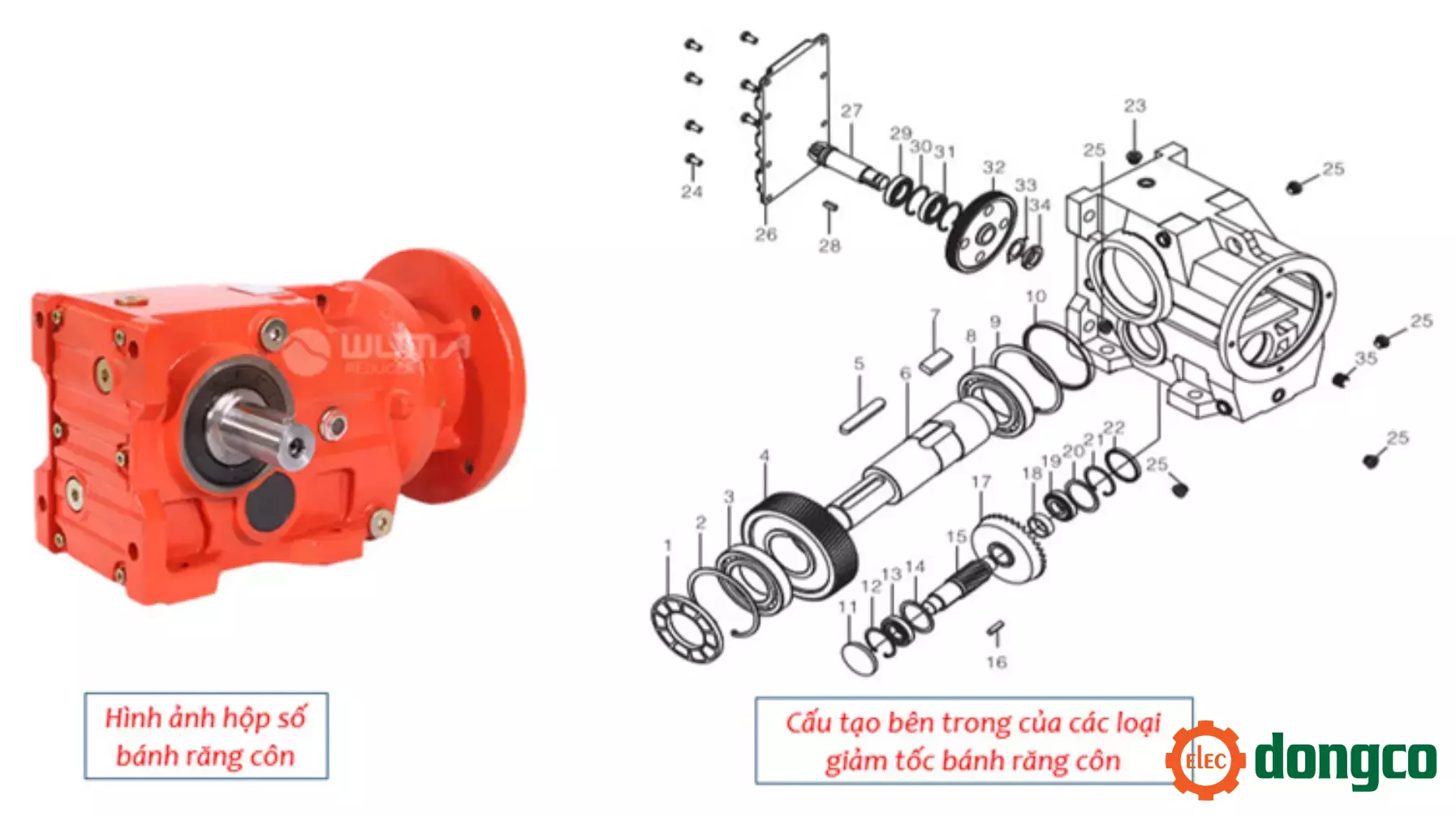 hop-so-giam-toc-banh-rang-con-dau-giam-toc-helical.webp